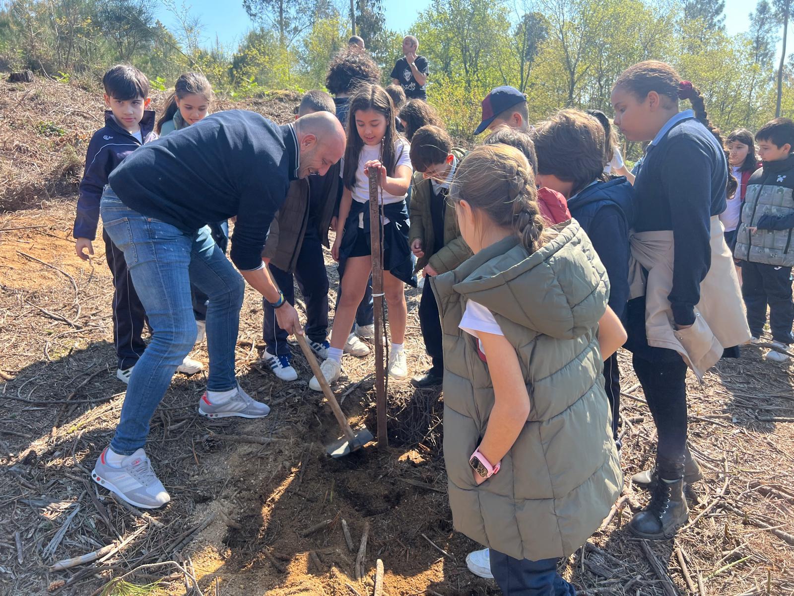 prantacion arbores risca 1.jpg