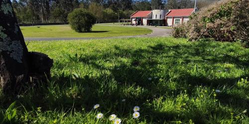 TORNEIROS. PARQUE O PINEIRO CENTRO ALBA  IMG_20250325_121917.jpg