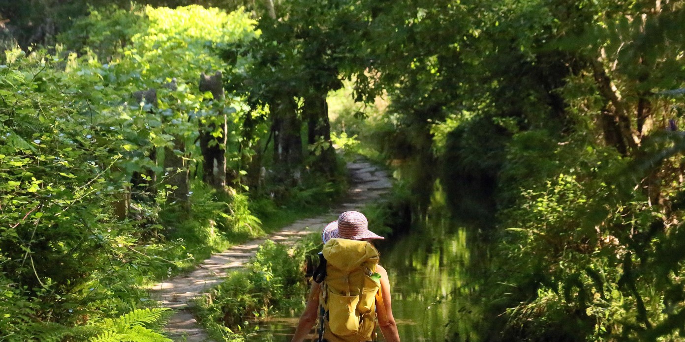 PONTELLAS. POLDRA DE PETATE Q55A5588.jpg