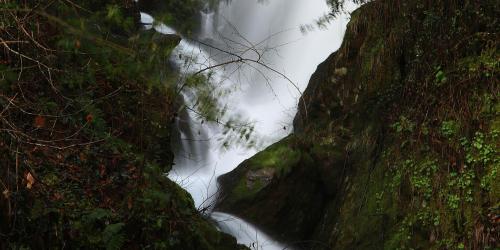 CHENLO. FERVENZA DE SAN XOAN Q55A7564.jpg